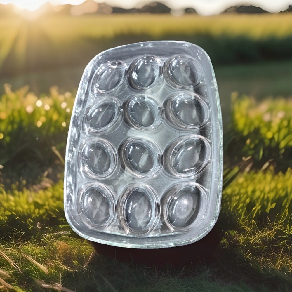 Clear Glass Deviled Egg Platter Rectangular 12 Slot Appetizer Serving Tray 11x8